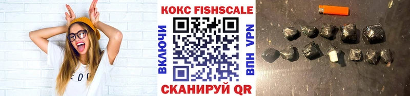 Кокаин Fish Scale  МЕГА   Нолинск 