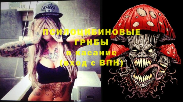 a pvp Михайлов