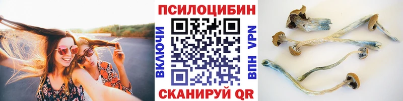 наркотики  Нолинск  гидра как зайти  Псилоцибиновые грибы мухоморы 
